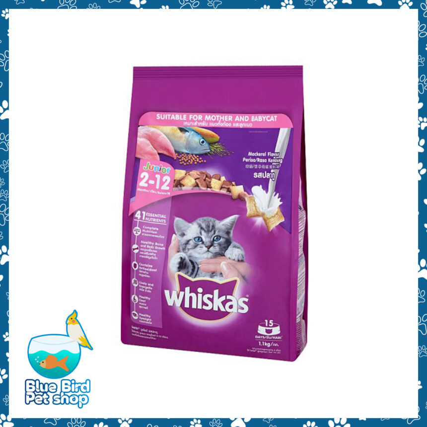 WHISKAS Kitten Cat Food 1.1kg Blue Bird Pet Shop