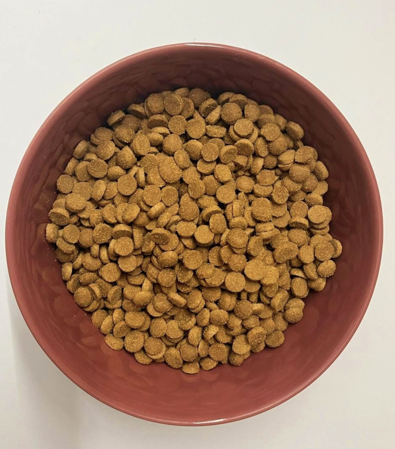 Screenshot 2025 10 13 at 5.42.32 PM Screenshot 2025 10 13 at 5.42.32 PM