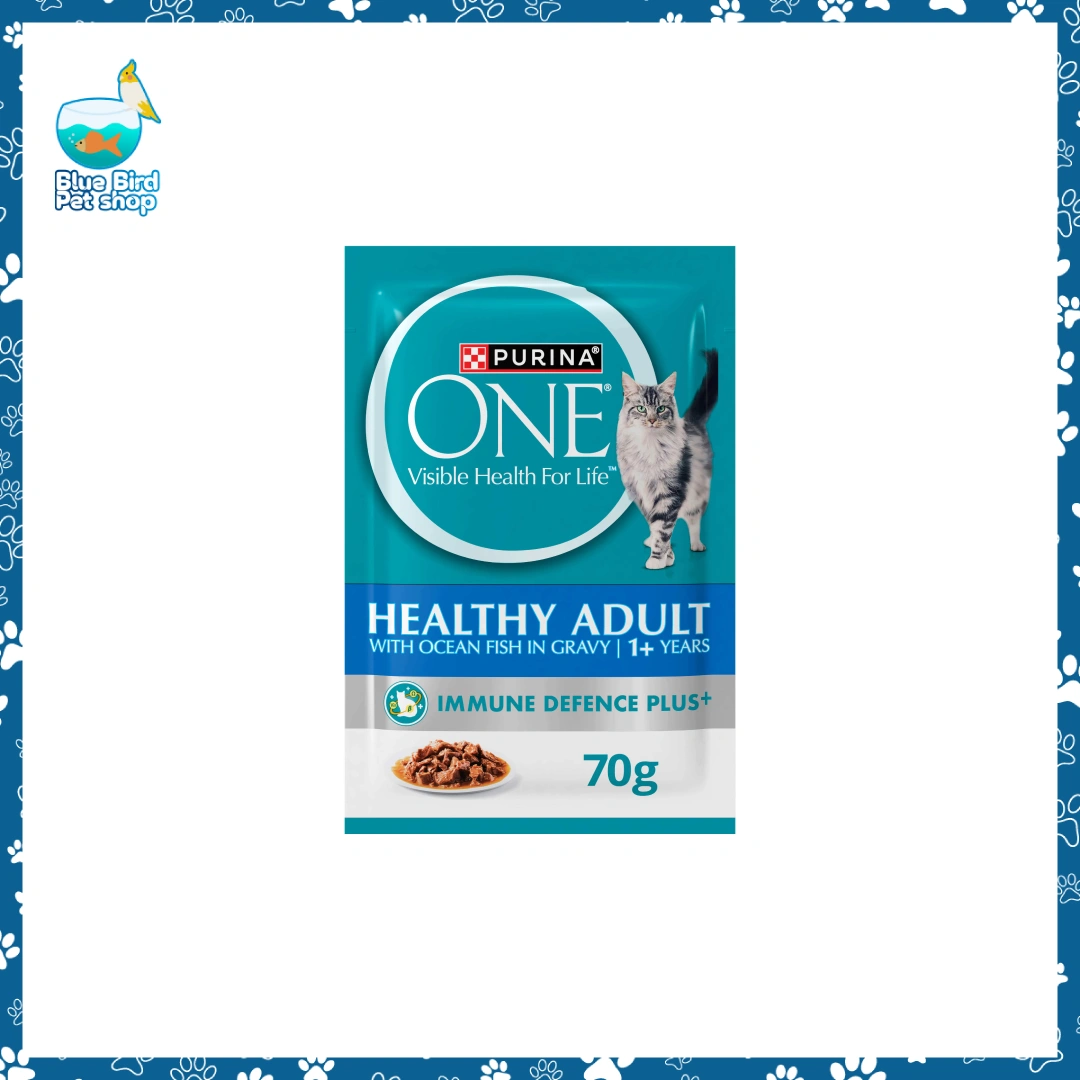 Purina ONE Healthy Adult Ocean Fish in Gravy 85g Cat Food Purina ONE Healthy Adult Ocean Fish in Gravy 85g wet cat food pouch at Blue Bird Pet