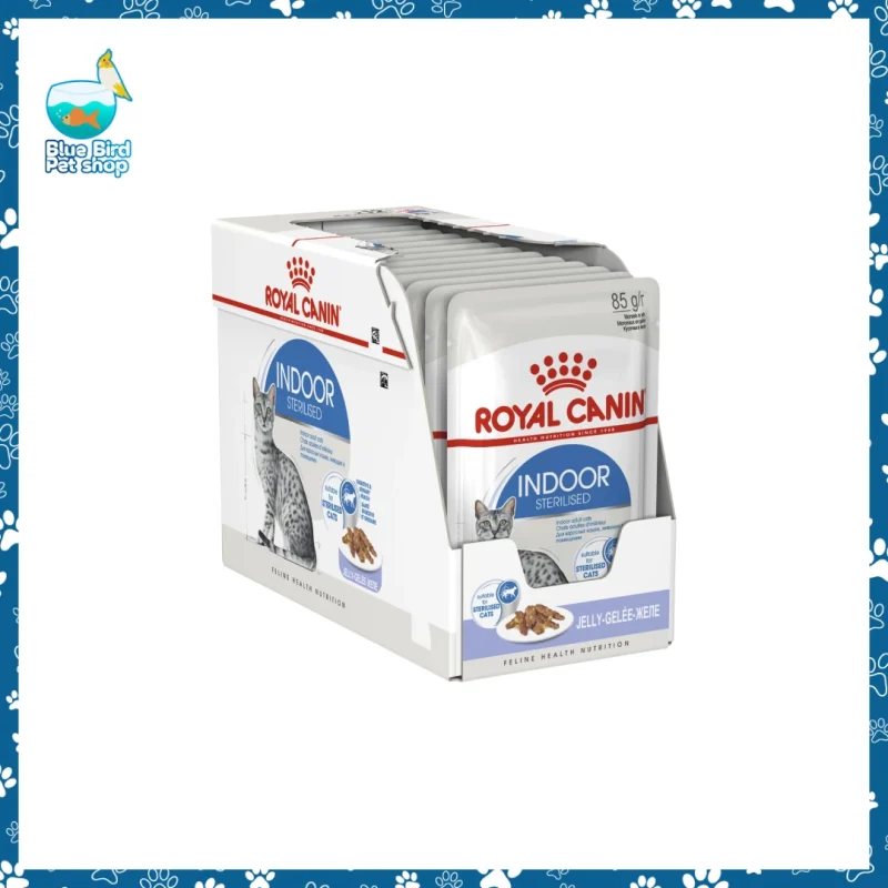Royal Canin Adult Pouch Indoor Sterilised in Jelly 85g wet cat food pack for indoor sterilised adult cats at Blue Bird Petshop Bashundhara