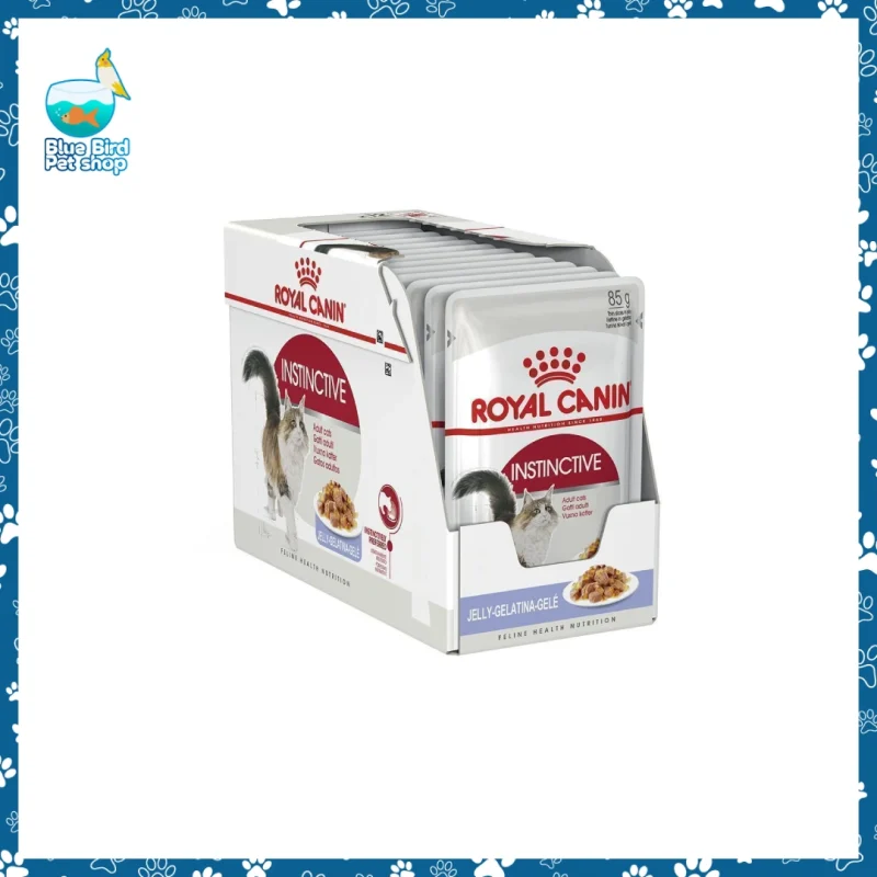 Royal Canin Adult Pouch Instinctive in Jelly 85g wet cat food pouch for adult cats at Blue Bird Petshop Bashundhara