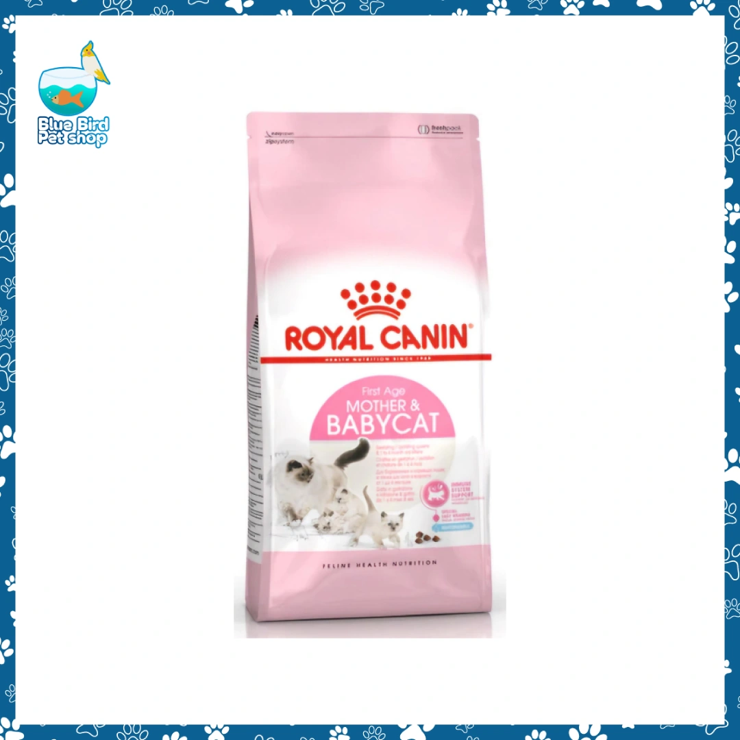 Royal Canin Mother & Babycat Dry Cat Food 2kg in Bangladesh Royal Canin Mother and Babycat Dry Cat Food 2kg pack for mother cats and young kittens at Blue Bird Petshop Bashundhara