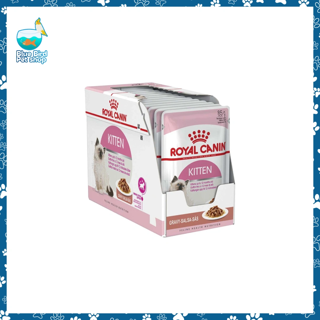 BBPS_Royal-Canin-Kitten-Pouch-in-Gravy-85-g Royal Canin Kitten Pouch in Gravy 85g wet cat food for kittens at Blue Bird Petshop Bashundhara
