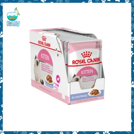 Royal Canin Kitten Pouch in Jelly 85g wet food for growing kittens at Blue Bird Petshop Bashundhara