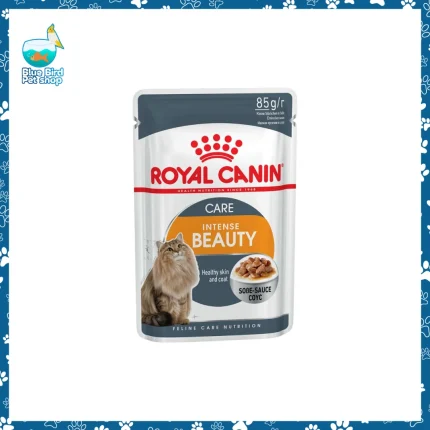 Royal Canin Intense Beauty Care Gravy 85g wet cat food pouch for healthy skin and shiny coat