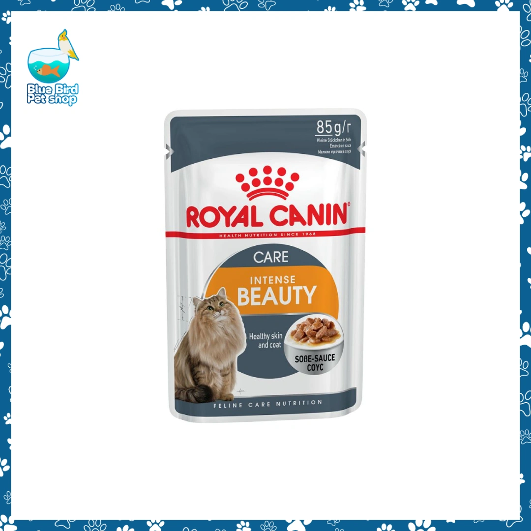Royal Canin Intense Beauty Care Gravy 85g Cat Wet Food Royal Canin Intense Beauty Care Gravy 85g wet cat food pouch for healthy skin and shiny coat