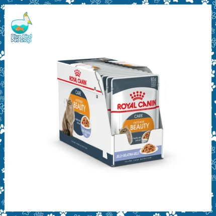 Royal Canin Intense Beauty Care Jelly 85g wet cat food pouch for healthy skin and shiny coat at Blue Bird Petshop Bashundhara