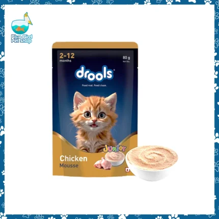 Drools Chicken Mousse Jr kitten food 80g creamy chicken wet food for growing kittens