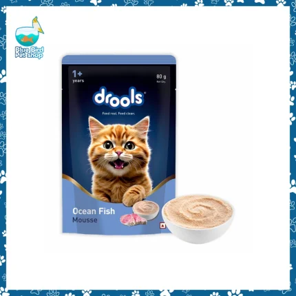 Drools Ocean Fish Mousse cat food 80g creamy wet food for adult cats with ocean fish