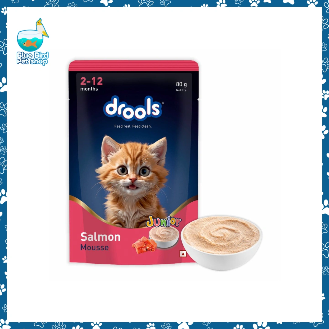 Drools Salmon Mousse Jr Kitten Food 80g – Creamy Salmon Wet Food Drools Salmon Mousse Jr kitten food 80g creamy salmon wet food for kittens